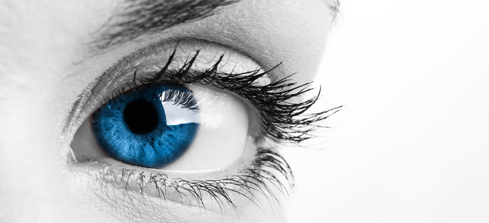 SEO Agentur